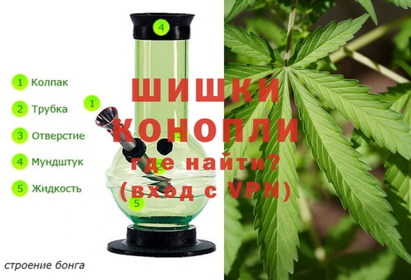 сатива Абдулино