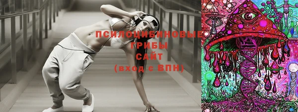 прущие грибы Алексеевка