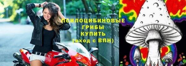 прущие грибы Алексеевка